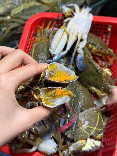 Cua bổ đôi đầy gạch